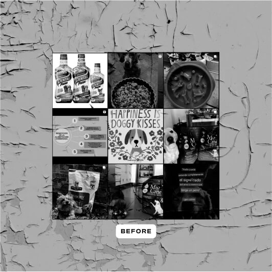 GALCO 4